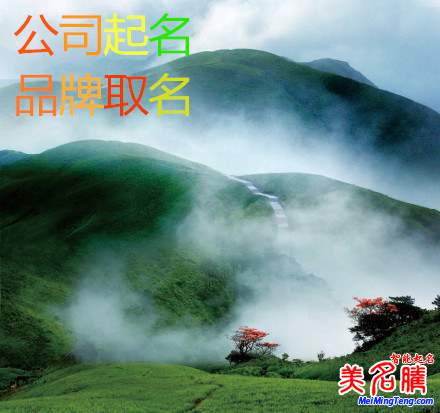 工商總局:企業(yè)名稱數據庫將開放 公司取名不再難