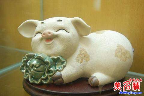 劉姓寶寶屬豬如何起名，劉姓寶寶起名