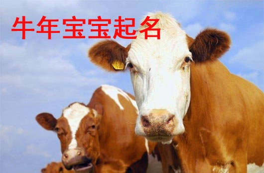 牛年男寶寶起名值得關注的好字