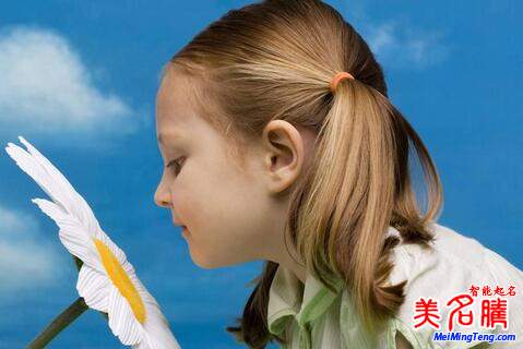 屬狗陳姓寶寶起名，女寶寶起名大全