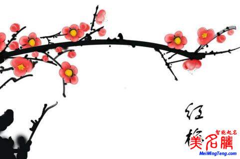 2018梅姓寶寶最詩(shī)意、最不凡的名字大全
