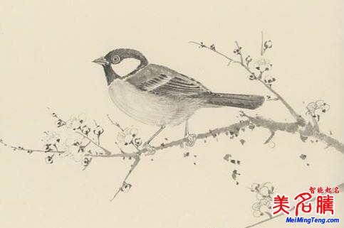 2018梅姓寶寶最詩(shī)意、最不凡的名字大全